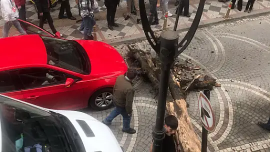 Sürücü neye uğradığını şaşırdı