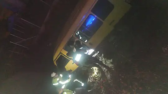 Büyükbaş hayvanlar kazaya neden oldu