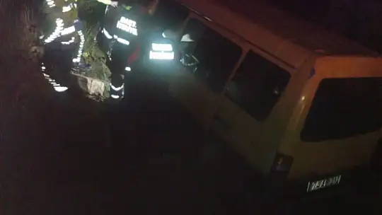 Büyükbaş hayvanlar kazaya neden oldu