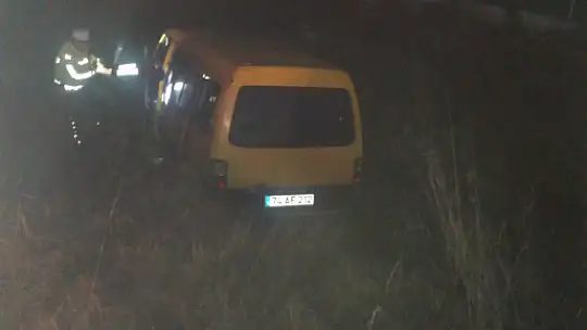 Büyükbaş hayvanlar kazaya neden oldu