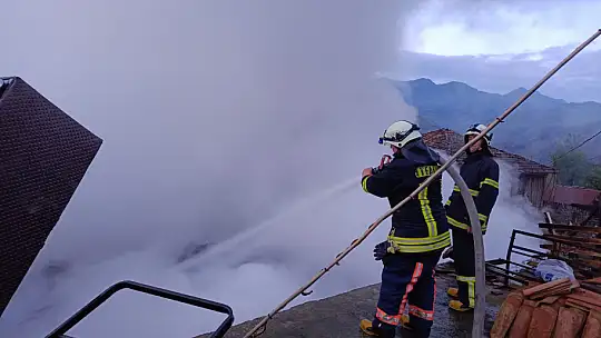 Alevler 3 evi birden sardı