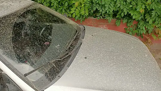 Gökten adeta Çamur yağdı