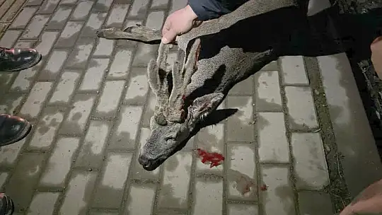 Yola atladı, araba çarptı