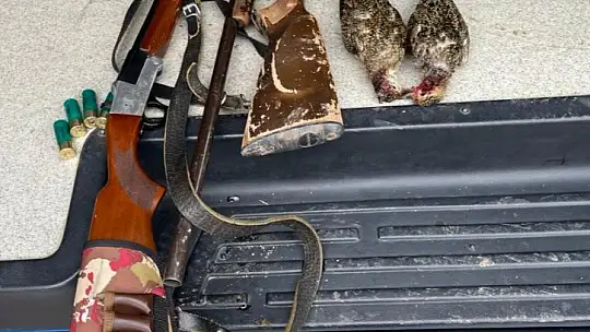 Koruma altındaki kuşları vurdular