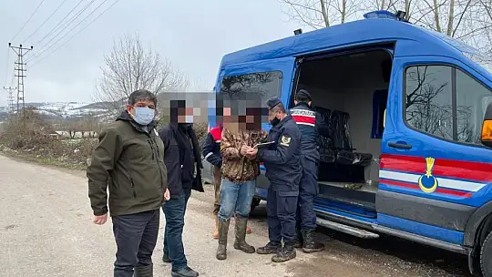 Koruma altındaki kuşları vurdular