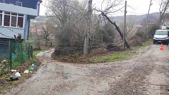 Elektrik direği kafasına düştü