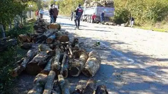 Tomruklar yola saçıldı