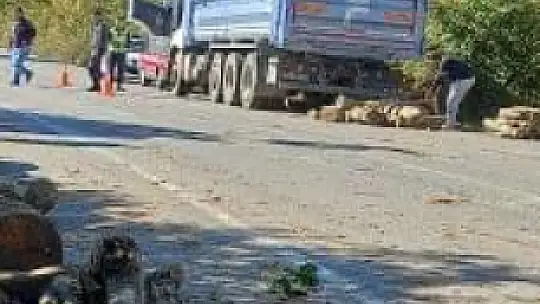 Tomruklar yola saçıldı