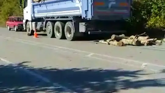 Tomruklar yola saçıldı