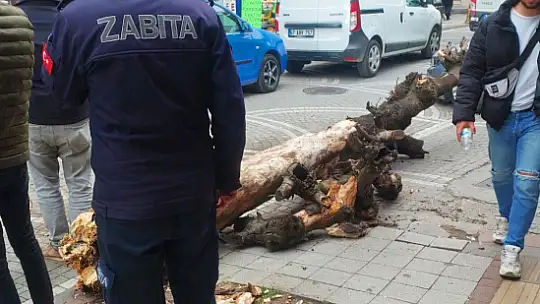 Sürücü neye uğradığını şaşırdı