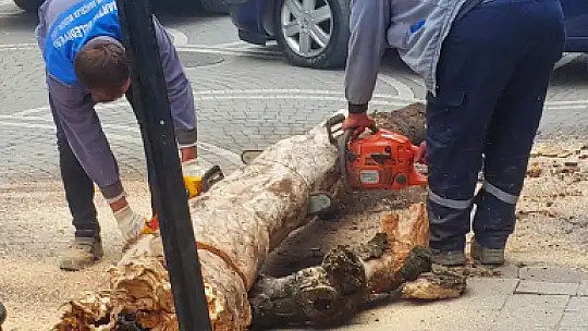 Sürücü neye uğradığını şaşırdı
