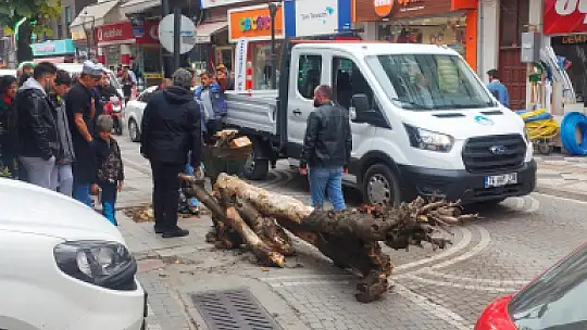 Sürücü neye uğradığını şaşırdı