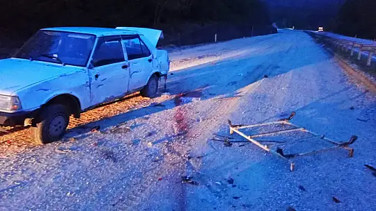 Amasra yolunda kaza