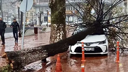 Önce fırtına sonra kar etkili oldu