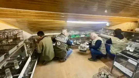 Bartın'da kuş avcısına baskın