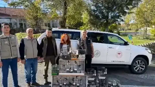 Bartın'da kuş avcısına baskın