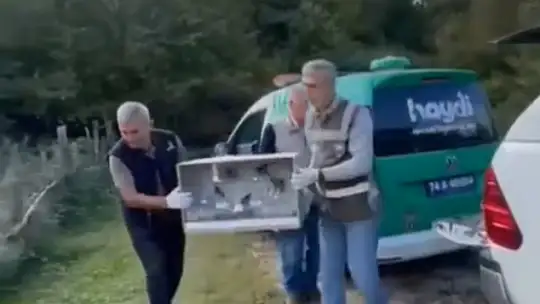 Bartın'da kuş avcısına baskın