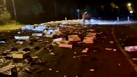 Yüzlerce kasa palamut yola saçıldı