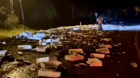 Yüzlerce kasa palamut yola saçıldı