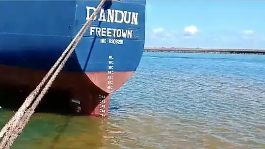 Bak şu Dandun'un yaptığına