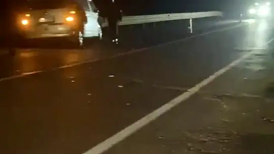 Yola çıkan hayvana araba çarptı