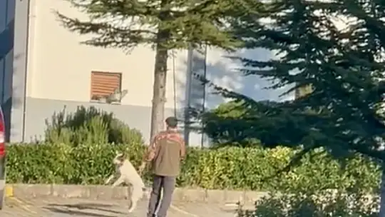 Bartın'da vicdanları sızlatan olay