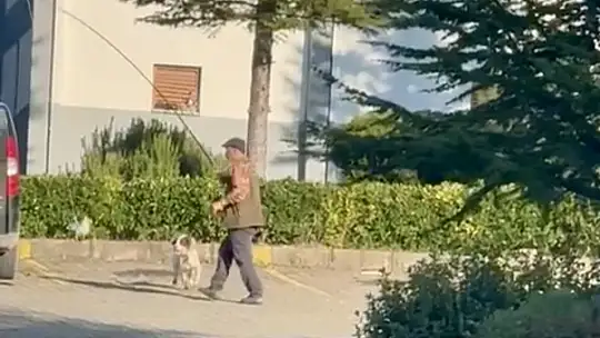 Bartın'da vicdanları sızlatan olay
