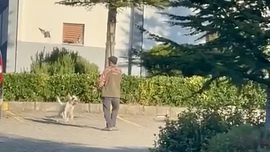 Bartın'da vicdanları sızlatan olay