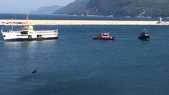 Ceza kesildi, Amasra'dan yola çıktı