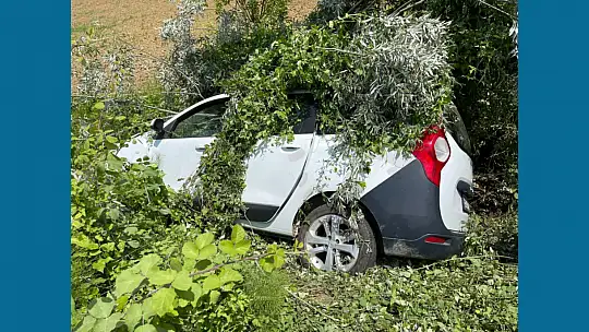 Yoldan çıktı, şarampole girdi