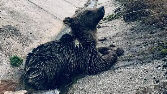 Su kanalında son anda fark etti