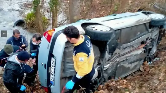 Yoldan çıktı, şarampole yuvarlandı