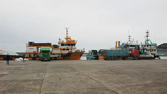 Amasra'da hamsi bereketi başladı