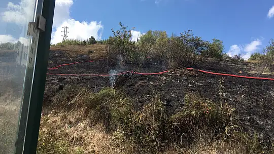 Otluk alanı alevler sardı