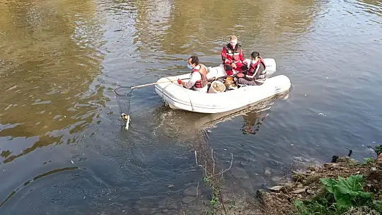 Ekipler ırmakta çöp avına çıktı