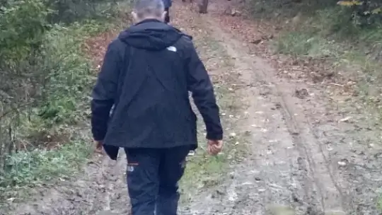 Mantar toplamaya gitti, kayboldu