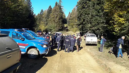 Mantar toplamaya gitti, kayboldu