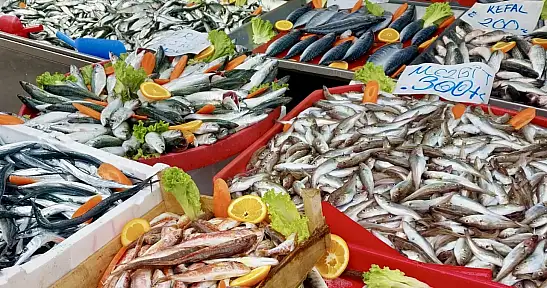 Balık bollaştı, tezgahlar coştu