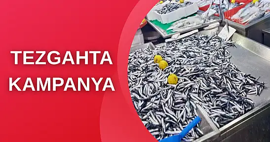 Hamsi bugün kampanyalı