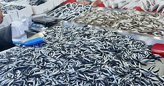 Hamsi tezgahta 100'üyor