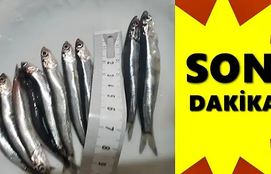 Bakanlıktan flaş hamsi kararı