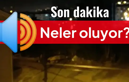 Bartın'da ilginç durum