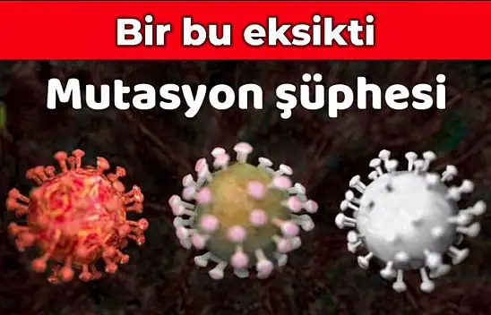 Bartın'da mutasyonlu virüs şüphesi