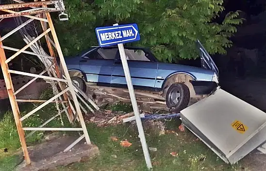 Elektrik panosuna çarptı, köy karanlığa büründü