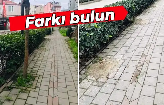 İki fotoğraf arasındaki farkı bulun