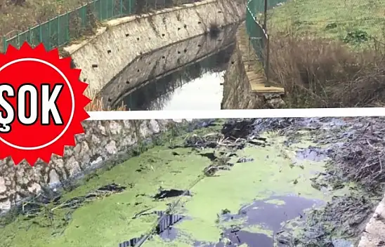 Irmağın neden kirlendiği belli oldu