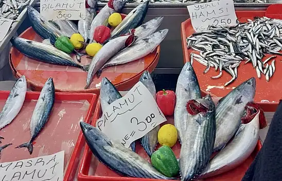 İstavrit in, hamsi out!