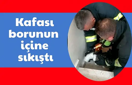Kafası borunun içine sıkıştı
