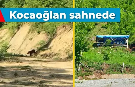 Orman yolunda karşısına çıktı