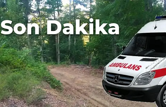 Ormanlık alanda ölümlü kaza